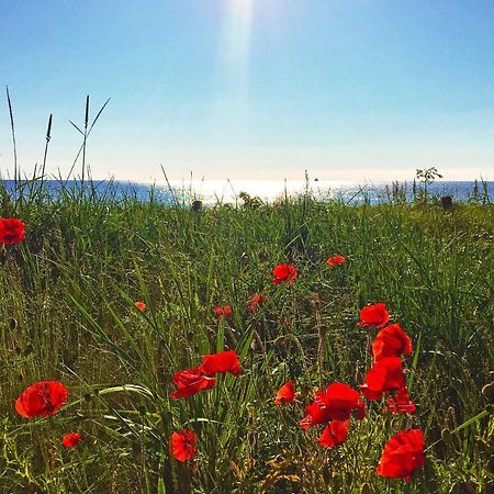 Strandresort Prora - Wg 114 Mit Meerblick Binz Eksteriør bilde